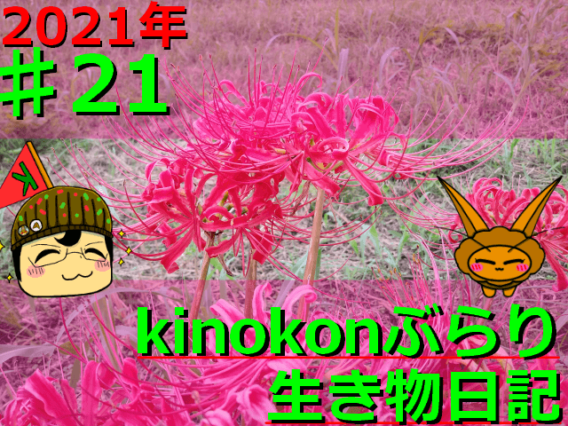 Thumbnail of post image 131